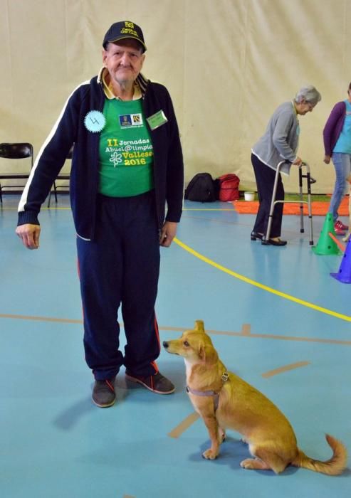 OLIMPIADA DEL ABUELO CANARIO