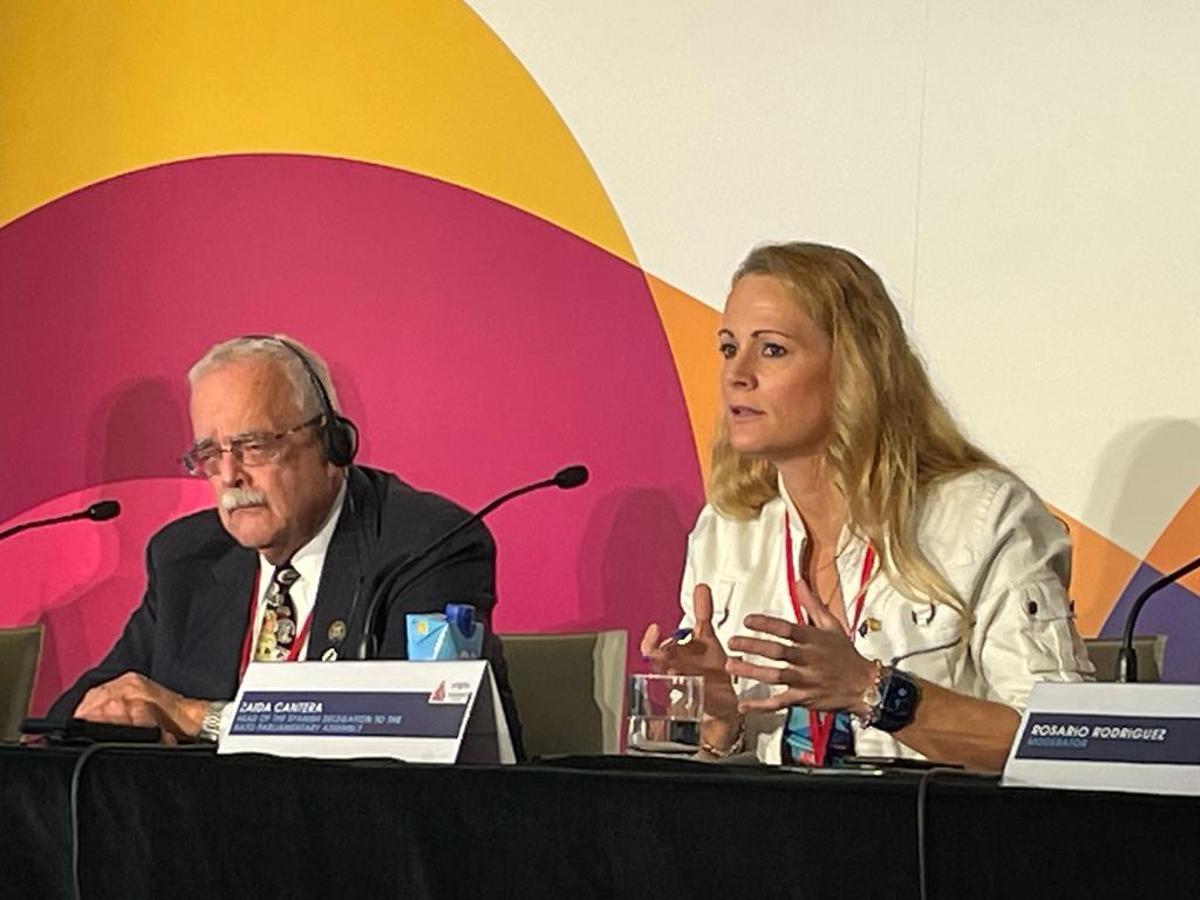 El presidente de la Asamblea Parlamentaria de la OTAN, Gerald E. Connely, y la diputada socialista Zaida Cantera, durante una rueda de prensa de la reunión de esta entidad en Madrid.