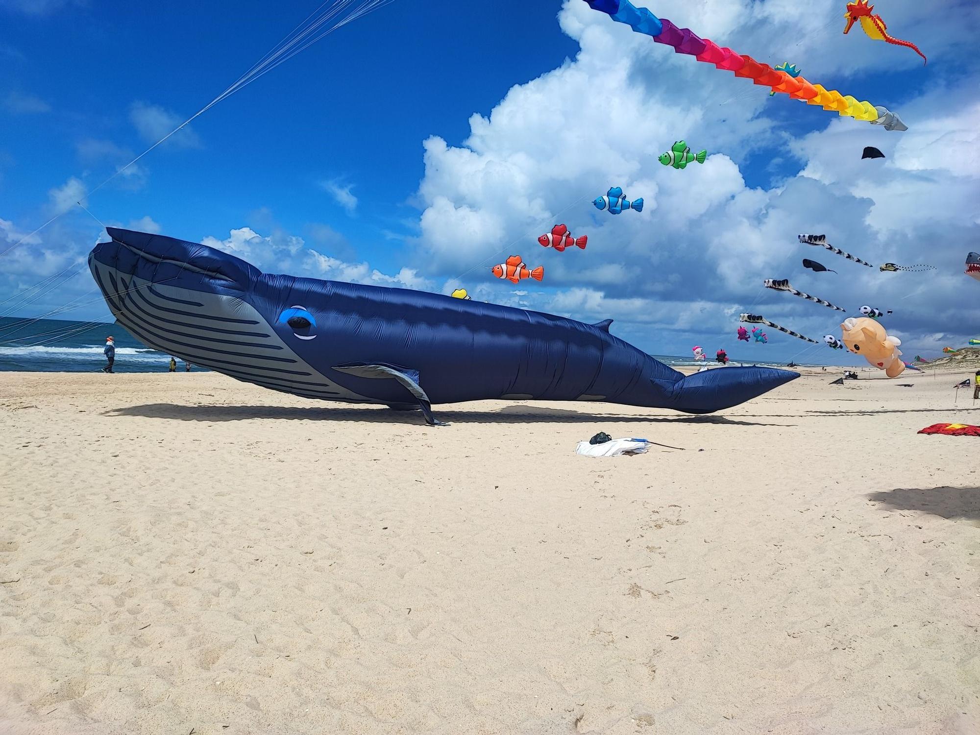 Magia para la vista: el festival de cometas que colorea el aire en Portugal