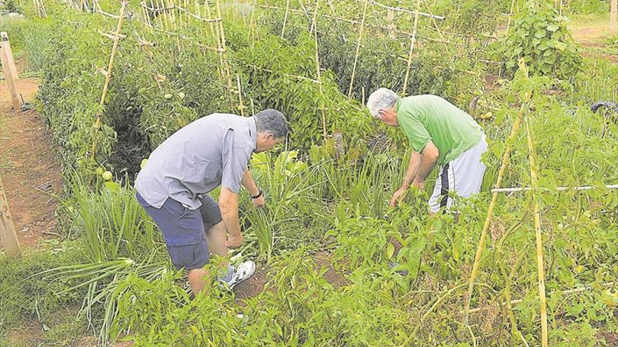 Los huertos urbanos tendrán un Consell para ganar en autogestión