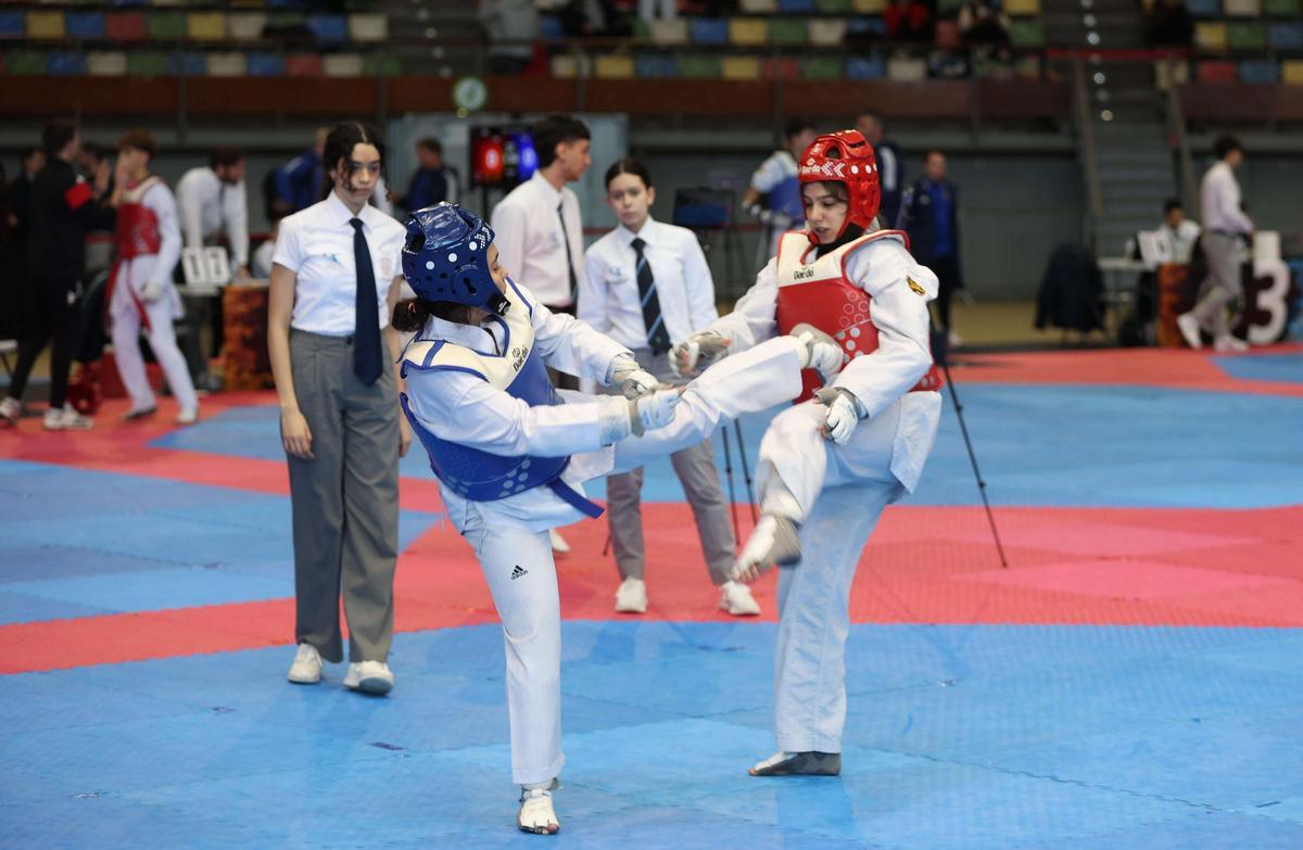 Participantes en la Copa Cidade da Coruña de Taekwondo, el año pasado.