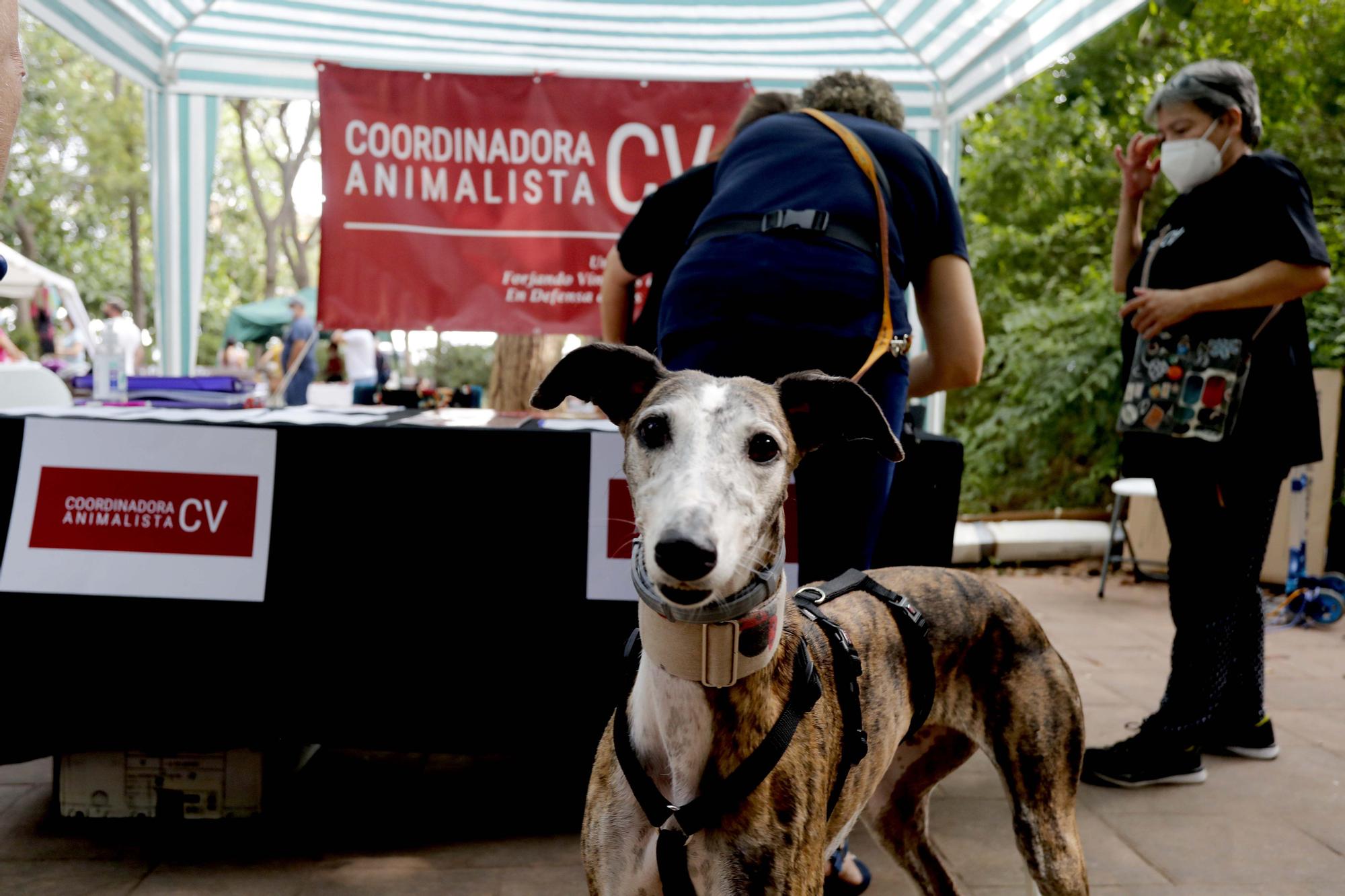 ¡Qué animalada!