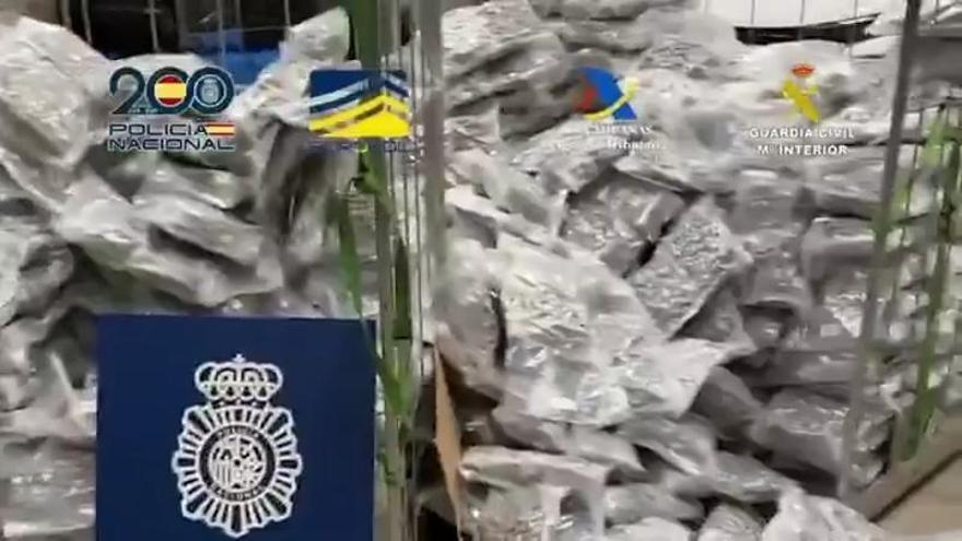 el Puerto de València un cargamento de más de 3.200 kilos de marihuana procedente de Canadá