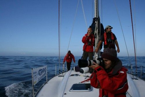 Y de repente...¡orcas en Galicia!