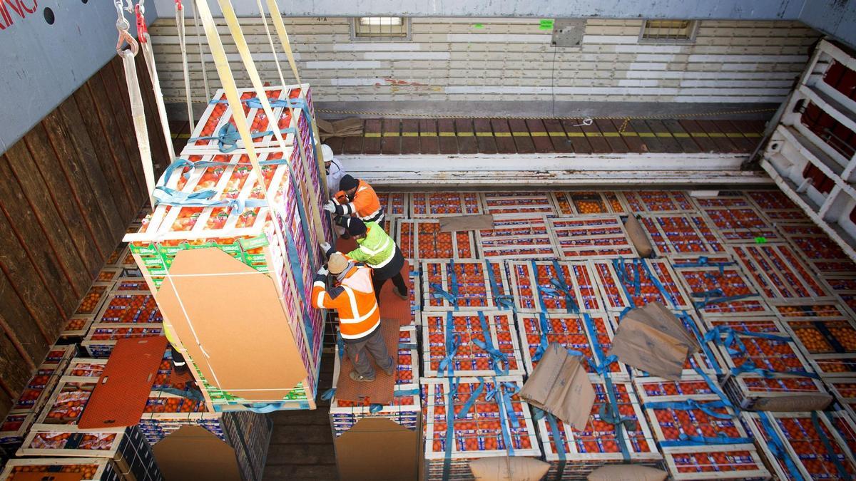 Varios trabajadores cargan un buque de naranjas.