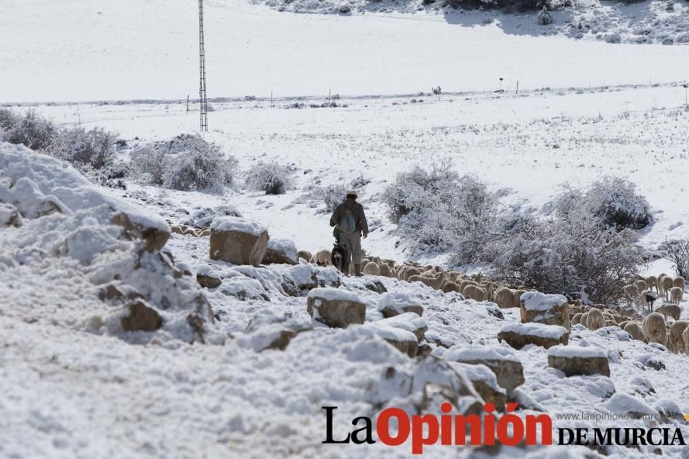 Nieve en el Noroeste