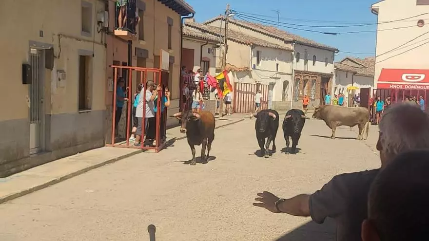 Morales de Toro reaviva su tradición taurina