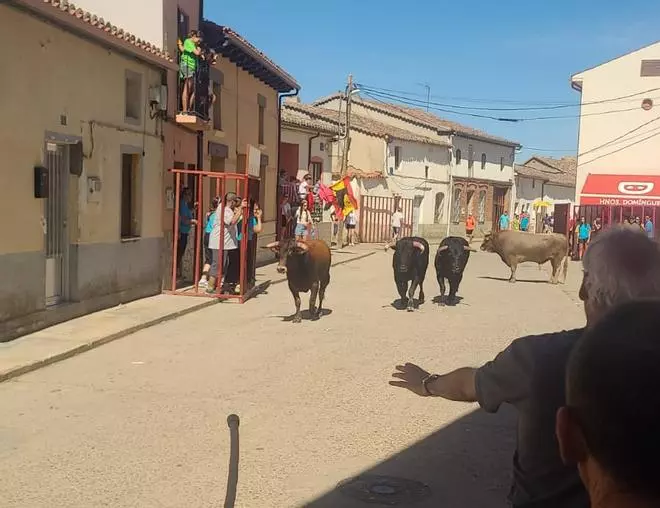 GALERÍA | Segundo encierro de las fiestas de Morales de Toro