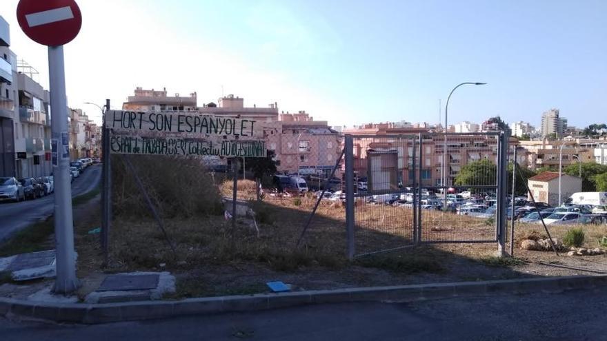 Denuncian pintadas contra el catalán en Mata de Jonc