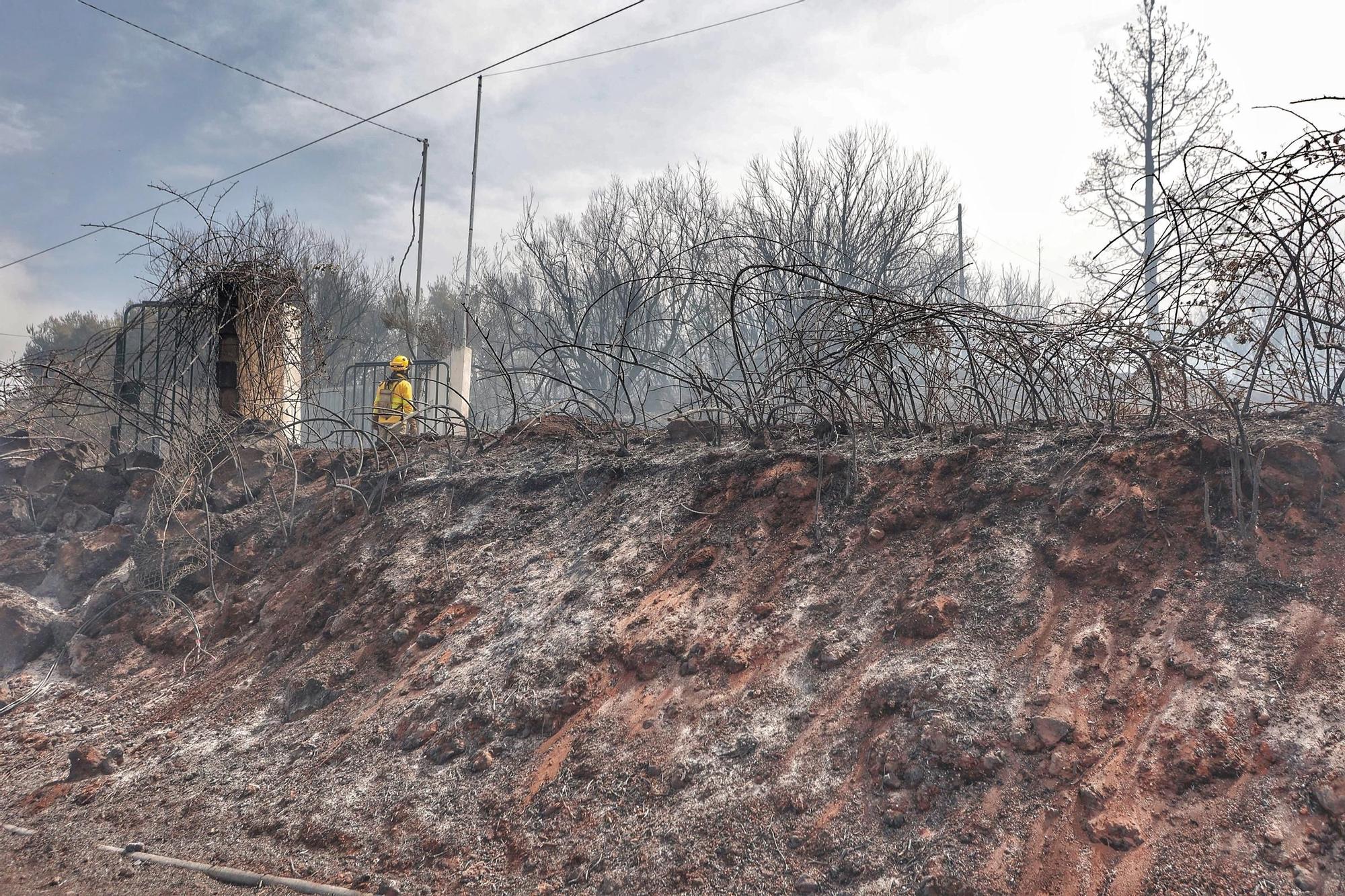 Realojadas las familias afectadas por el incendio en El Sauzal