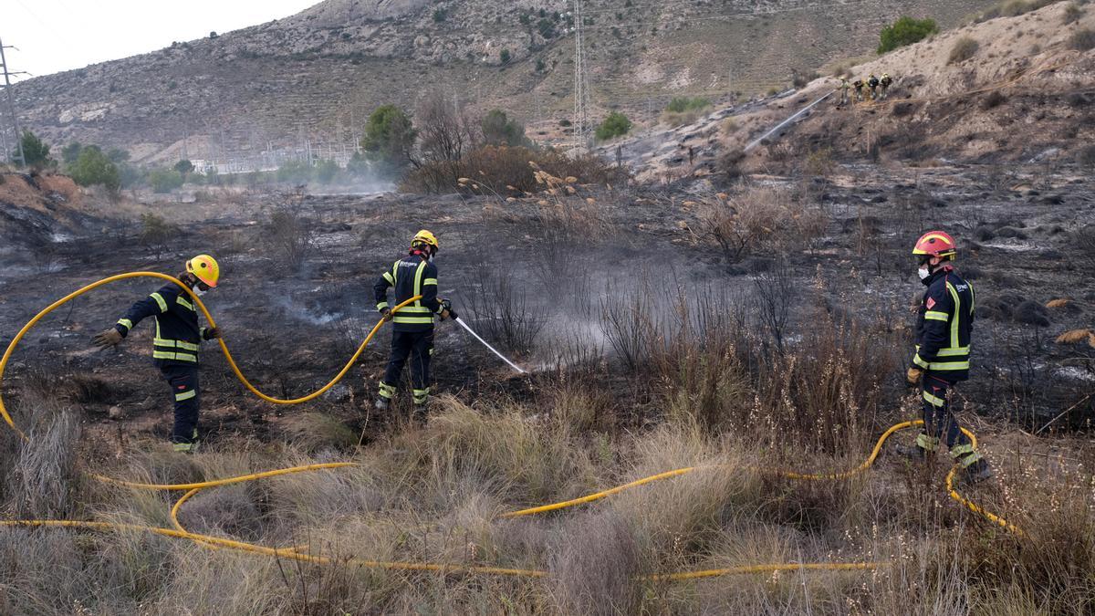 Los bomberos apagan el incendio forestal que tuvo lugar en Petrer el pasado febrero.