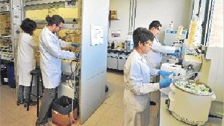 Una parte del equipo de Síntesis Orgánica de la UJI trabaja en el laboratorio.