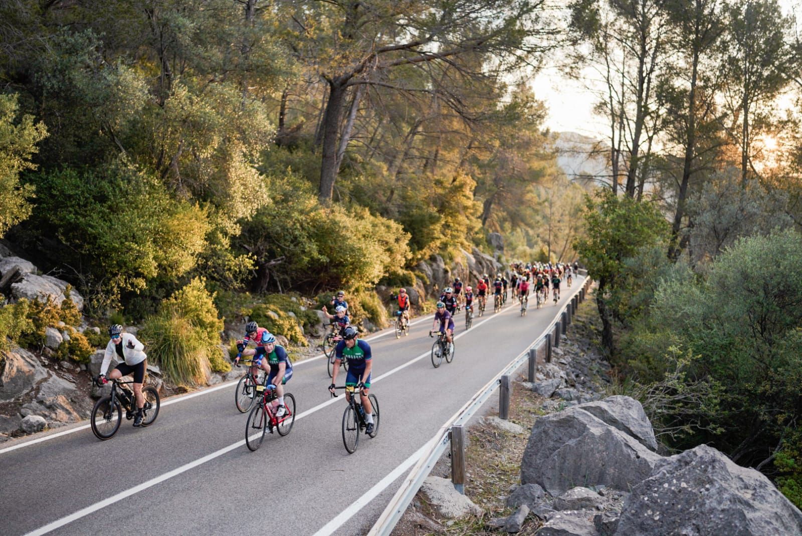 La Mallorca 312 en imágenes