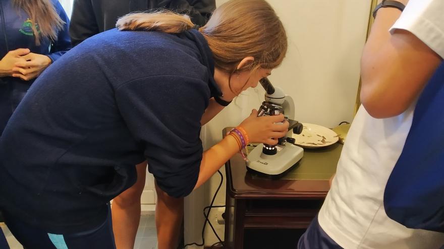 El Botánico de Málaga acoge las jornadas de divulgación Café con Ciencia