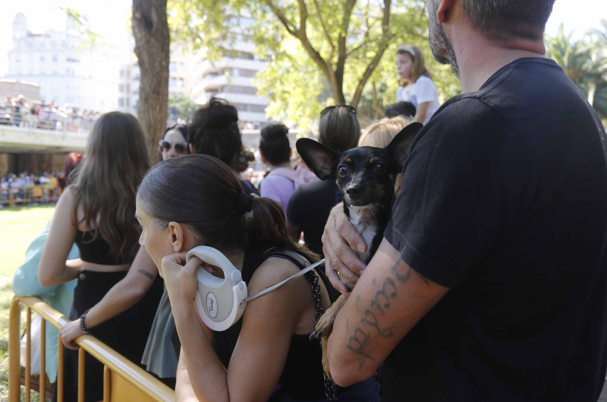 La Feria Animalista de València, en imágenes