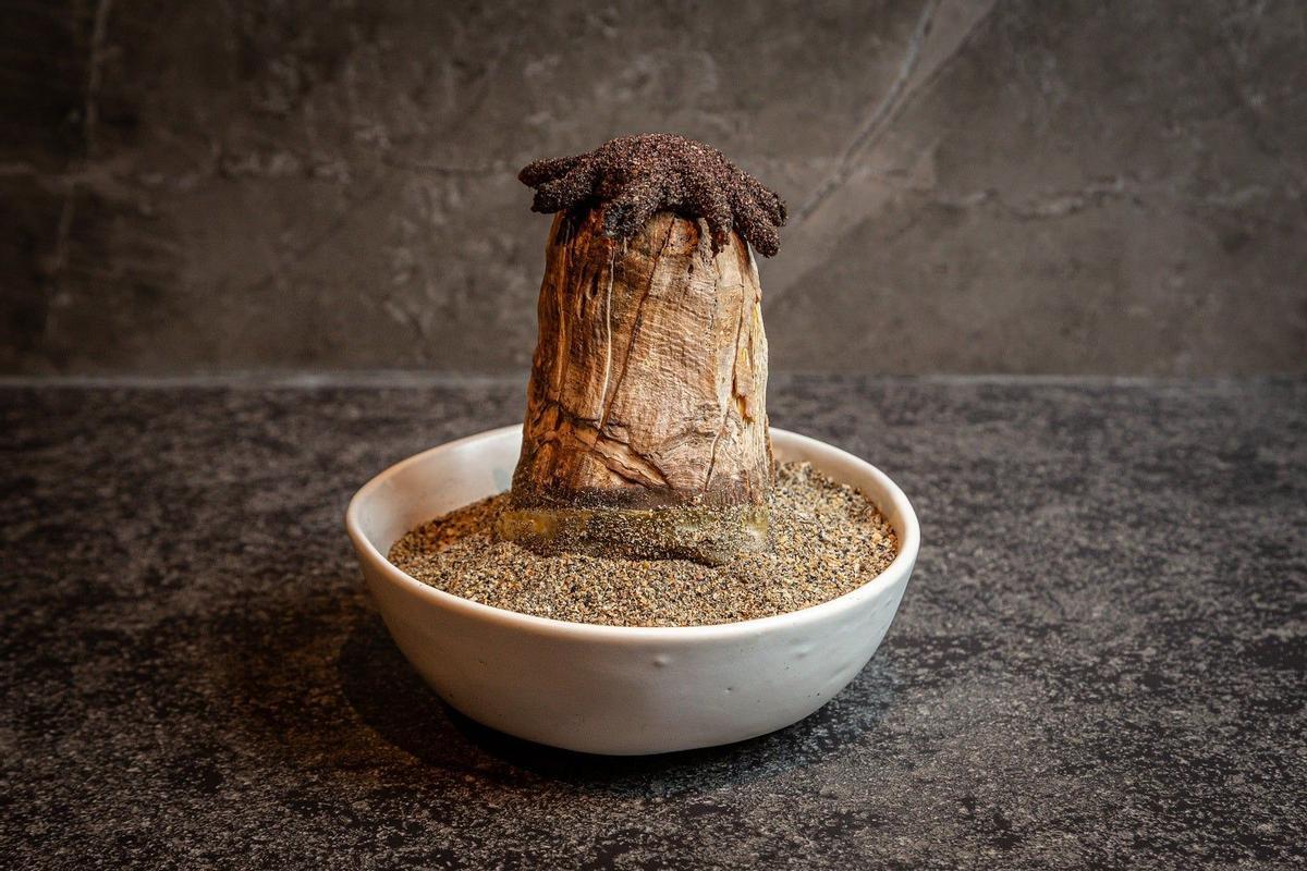Plato restaurante Boragó Rodolfo Guzmán