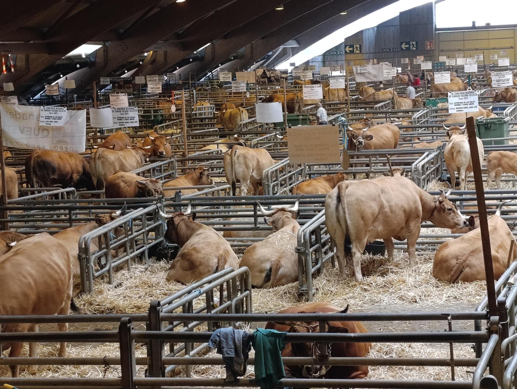 Arranca Agrosiero en La Pola