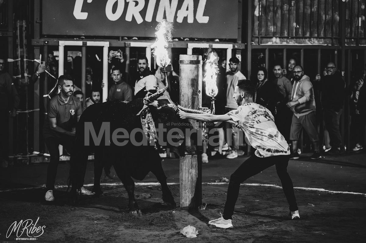 Bous a Les Alqueries 2025