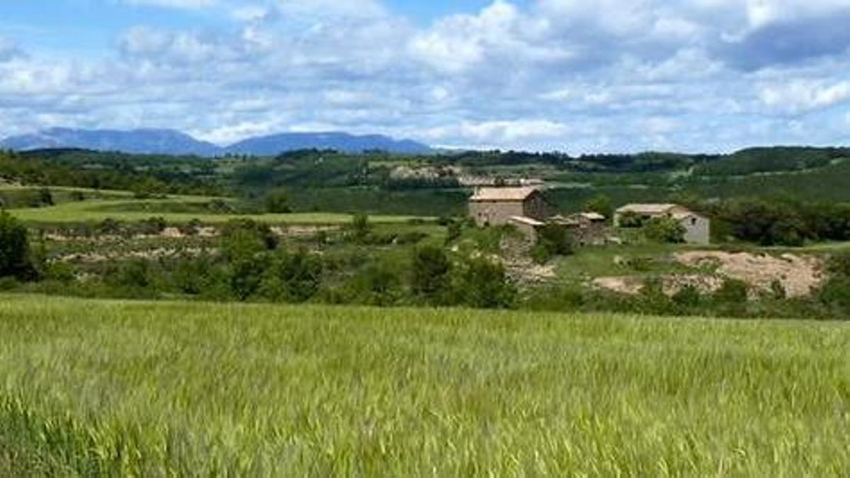 El paisatge del Baix Solsonès de Territori de Masies