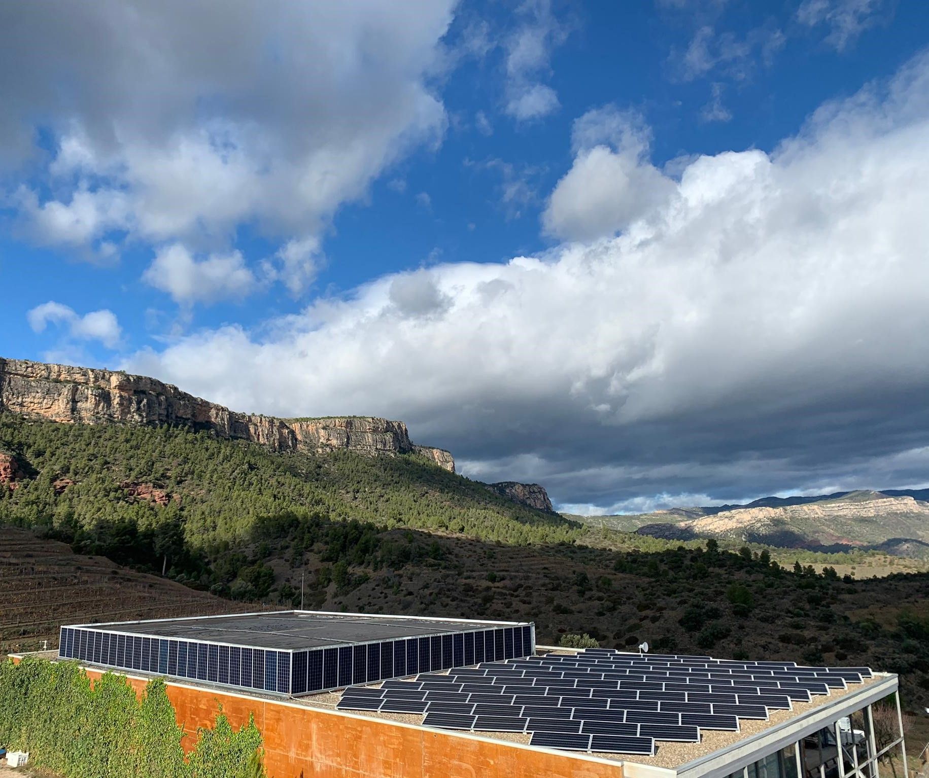 Placas fotovoltaicas en la Bodega Priorat.