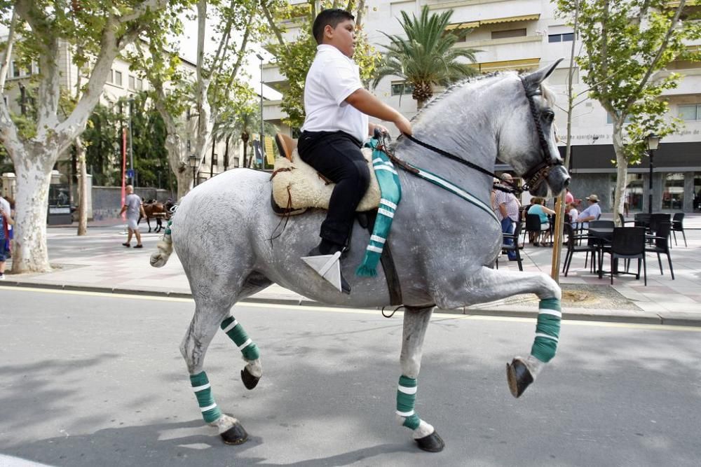 Día del Caballo en Alfonso X