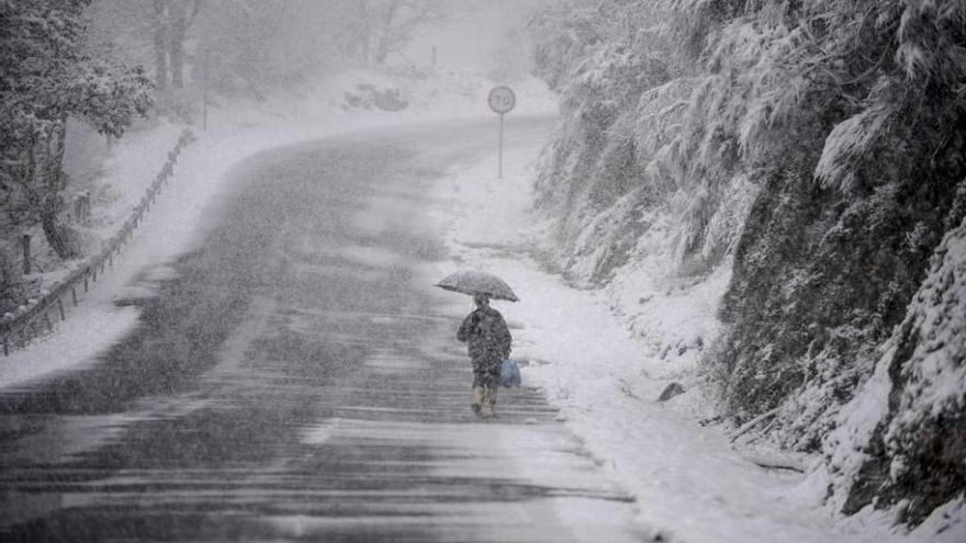 Un hombre camina bajo la nieve con su paraguas en Montederramo (Ourense). // Brais Lorenzo