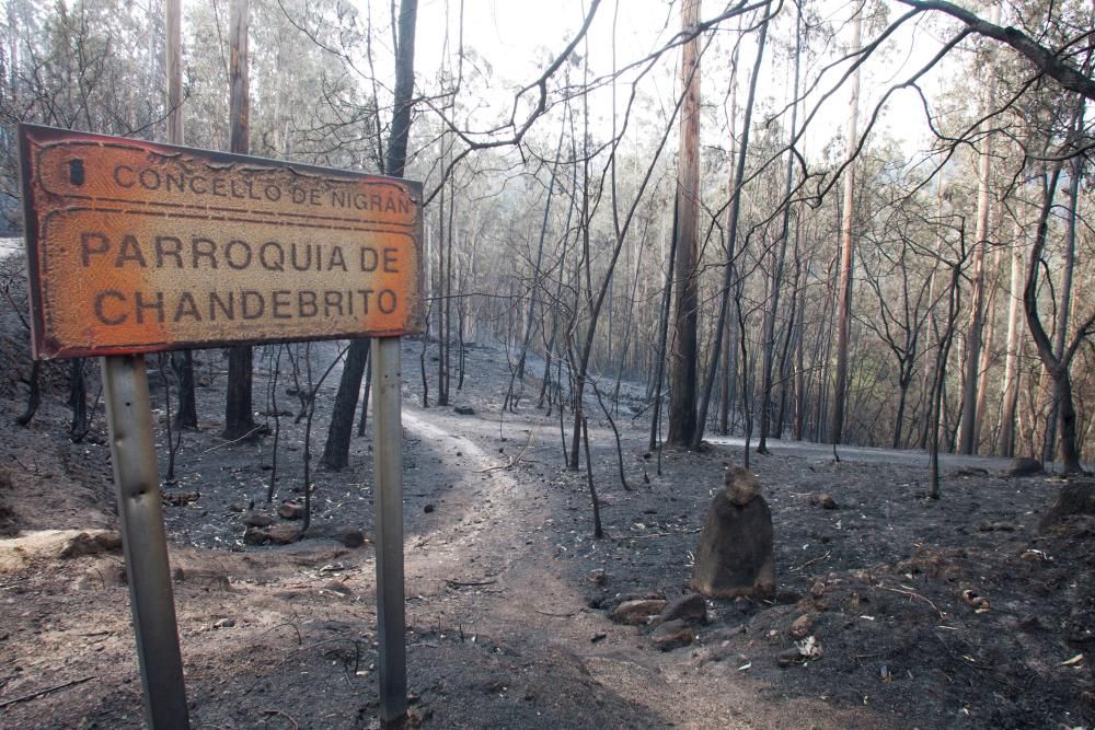 El terrorismo incendiario arrasa el Sur de Galicia