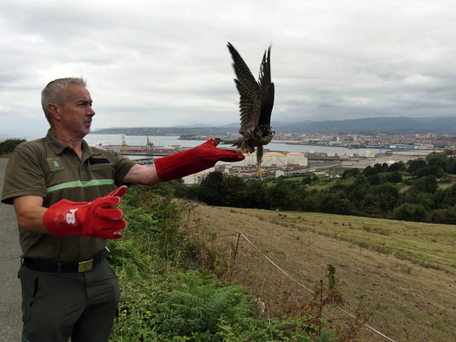 Los "pacientes" del HUCA de los animales de Asturias