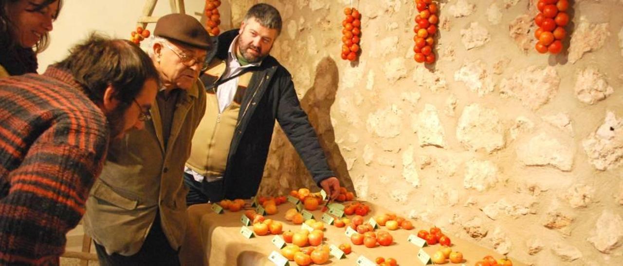 Imagen de las jornadas sobre el tomate de &#039;ramellet&#039; y sus diferentes variedades y semillas realizadas hace unos años en Ariany.