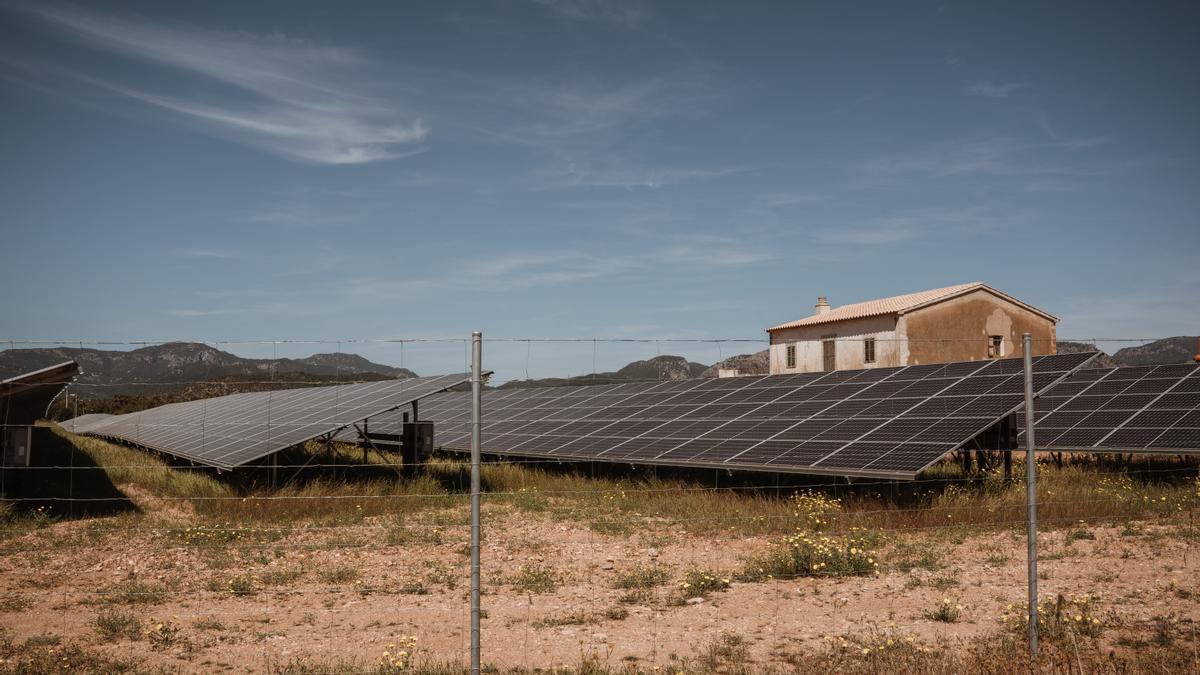 VÍDEO | Las placas solares invaden el campo de Mallorca - Diario de Mallorca