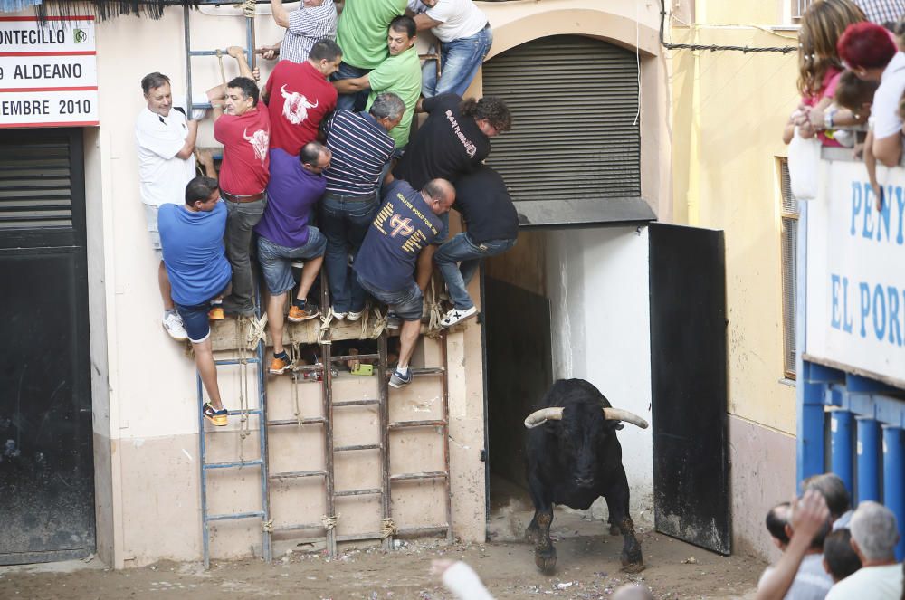 Festes del Roser en Almassora