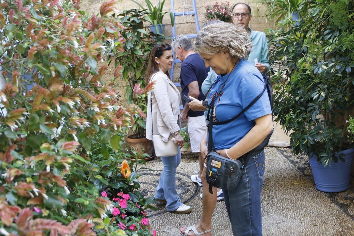 Las últimas visitas a los Patios de Córdoba 2026
