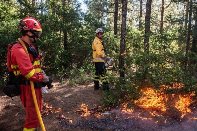 La UME realiza prácticas de prevención de incendios en Gran Canaria