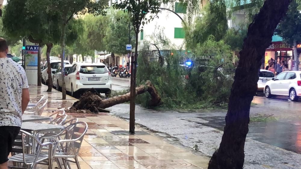 Lluvia torrencial en Ibiza