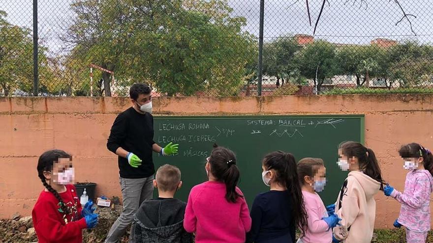 Los huertos escolares ya cuentan con 15 centros inscritos