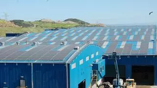 1.600 escolares visitan el Aula del Complejo Ambiental de Casares