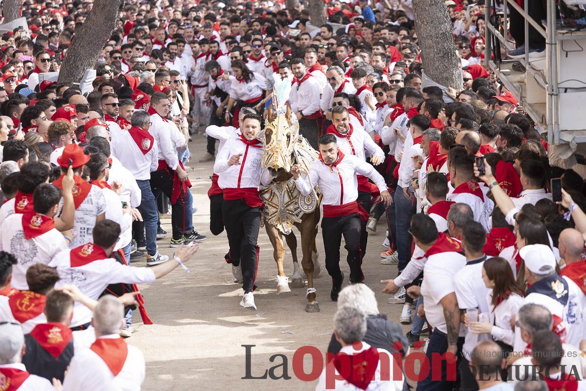 Así se ha vivido la carrera de Los Caballos del Vino en Caravaca