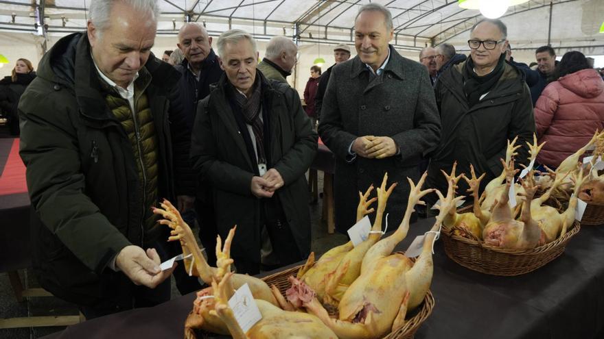 Vila de Cruces distribuye 700 raciones de «galo» en su feria de Navidad
