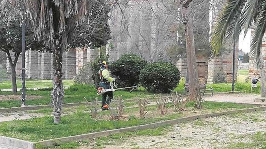 El consistorio desarrolla labores de poda y desbroce en varios puntos de la ciudad