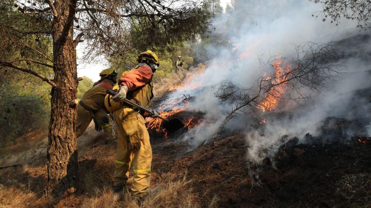 Los bomberos de la brigada helitransportada de Calamocha trabajan sin descanso para extinguir el incendio del Moncayo.