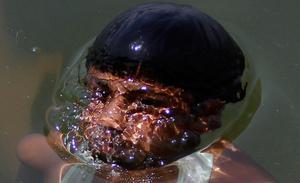 Un noi emergeix de l’aigua al llac de Dal a Srinagar (nord d’Índia), on les temperatures han sobrepassat els 40 graus centígrads.