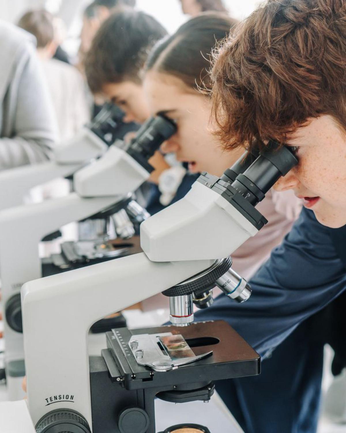 L’Oceanogràfic inspira les noves generacions de guardians dels oceans