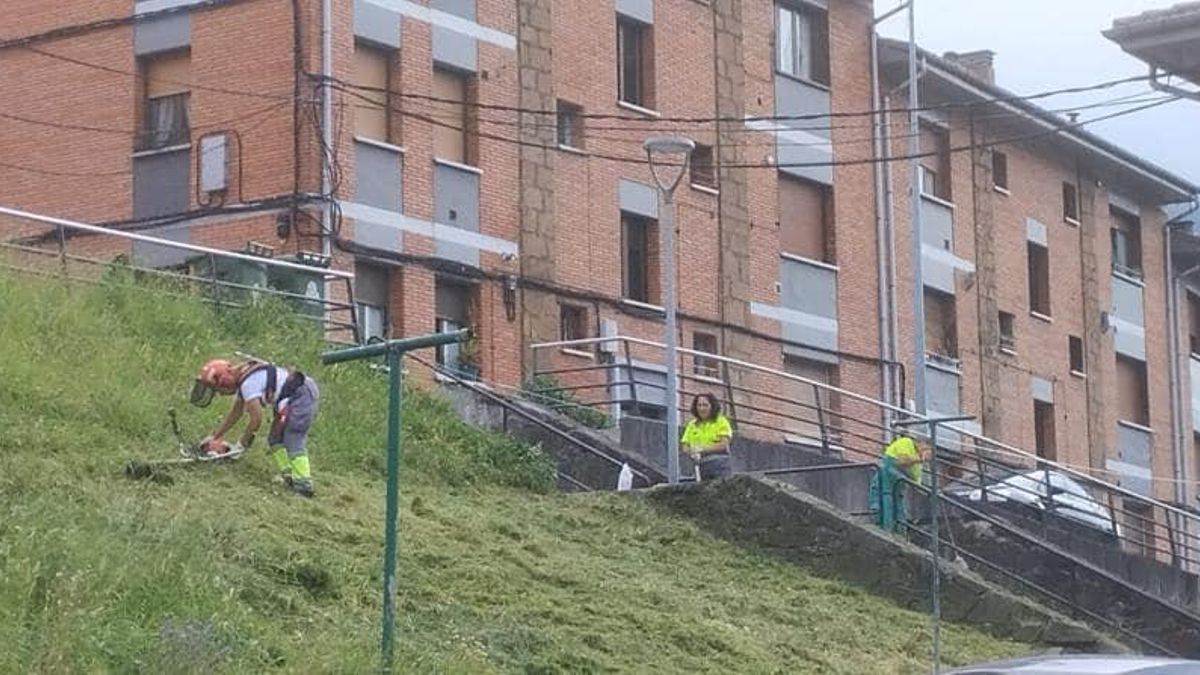 Trabajadores municipales desbrozan en Caborana.