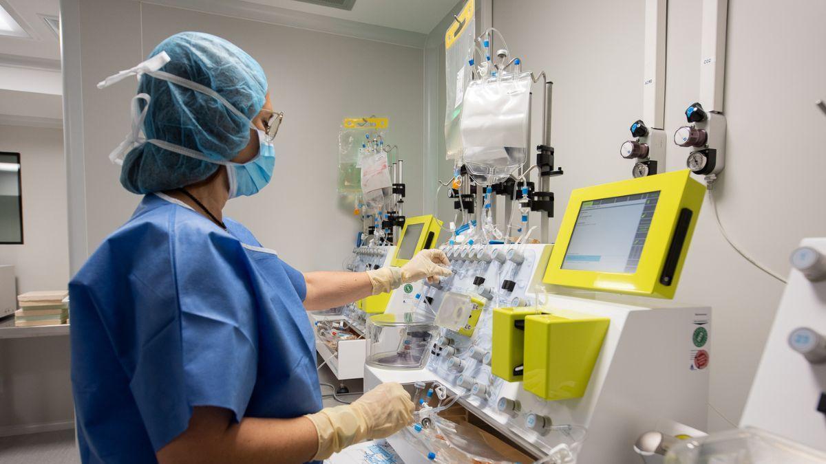 Estos dos subtipos de linfoma no Hodgkin representan más del 50% de los casos diagnosticados