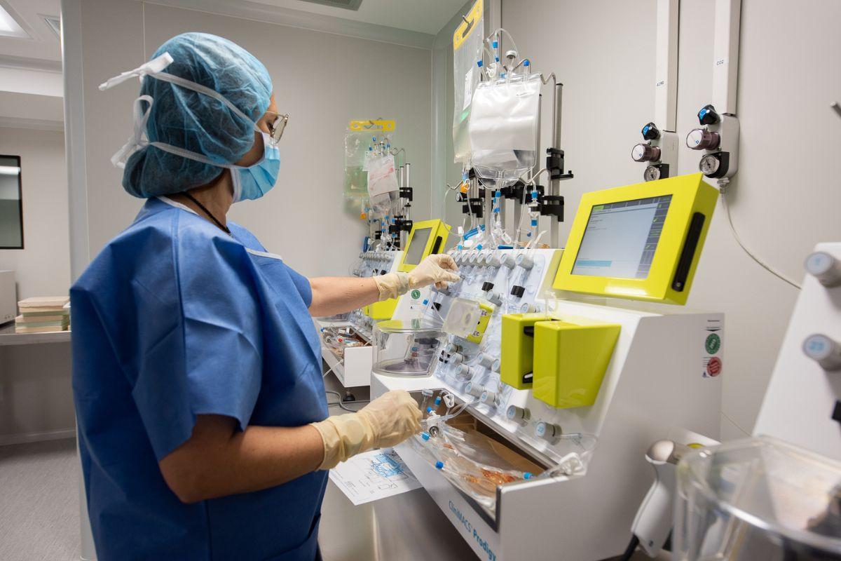 Estos dos subtipos de linfoma no Hodgkin representan más del 50% de los casos diagnosticados