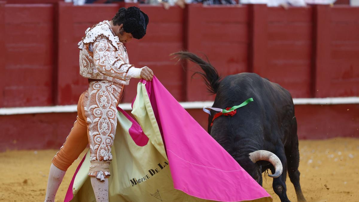 El diestro Morante de la Puebla ante uno de sus astados en el festejo correspondiente a la Feria de Málaga, en la Plaza de la Malagueta.