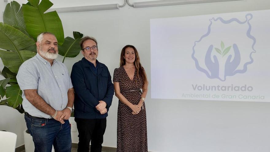 El Plan de Voluntariado Ambiental de Gran Canaria prevé plantar 500 árboles nativos en ocho municipios