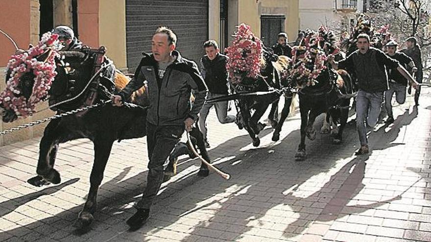 Albocàsser vibra el fin de semana con las ‘rossegades’ y ‘corregudes’