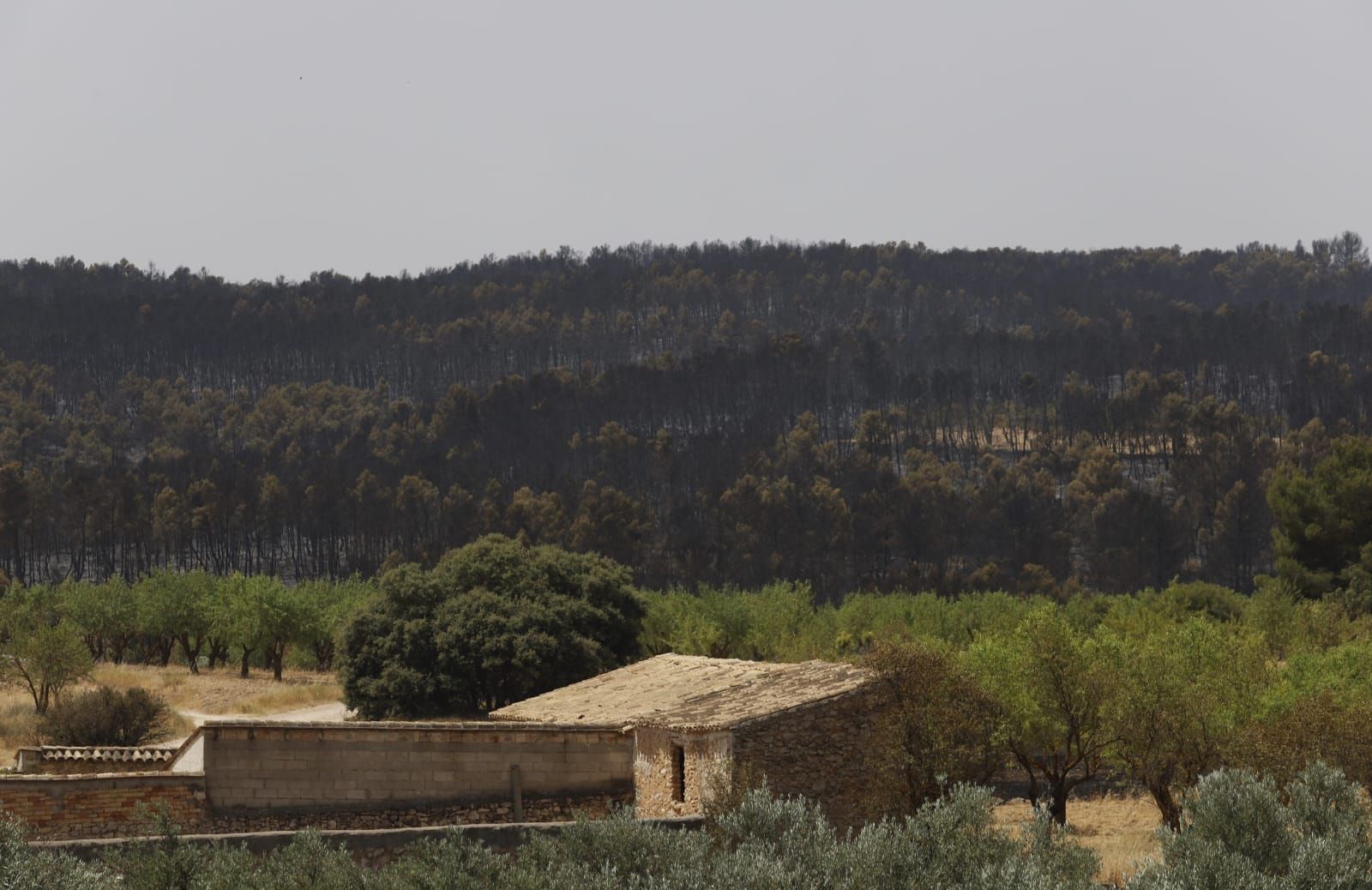 El incendio de Venta del Moro ha calcinado más de mil hectáreas