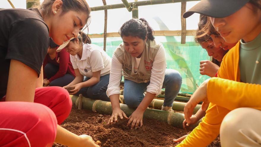 Agricultura sostenible y justicia social en Perú